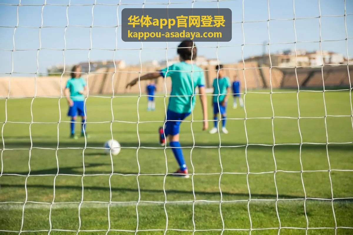 华体app官网登录的安全验证流程页面展示